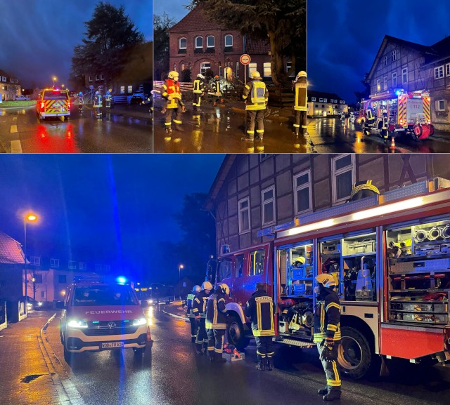 Ein großer Ast eines Baumes an der alten Schule war auf den Steinweg gefallen, Fotos: Freiwillige Feuerwehr Heiligendorf