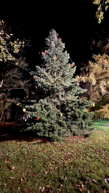 Schmücken zum 1. Advent, Foto: Freiwillige Feuerwehr Heiligendorf