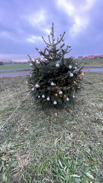 Schmücken zum 1. Advent, Foto: Freiwillige Feuerwehr Heiligendorf