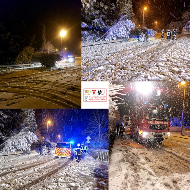 Einsatz 8 / 2023, zwei Bäumen setzte die Schneelast erheblich zu, Fotos: Freiwillige Feuerwehr Heiligendorf