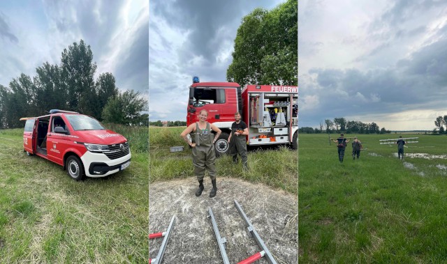Einsatz 21 / 2023, Amtshilfe - Umgestürztes Storchennest, Foto: Freiwillige Feuerwehr Heiligendorf