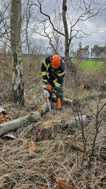 Jährliche Unterweisung Motorkettensäge, Foto: Freiwillige Feuerwehr Heiligendorf