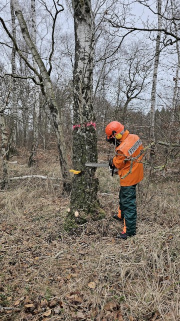 Jährliche Unterweisung Motorkettensäge, Foto: Freiwillige Feuerwehr Heiligendorf