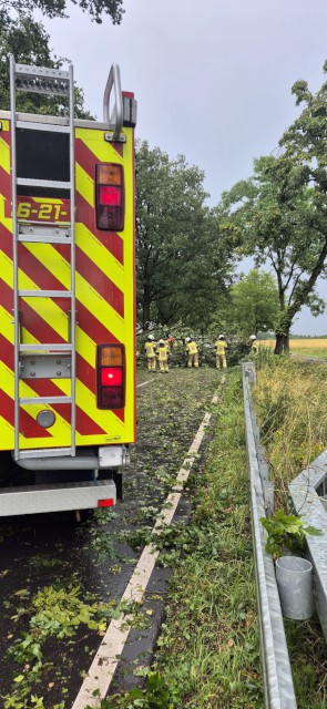 Einsätze 16 - 24 / 2025 für die FF Heiligendorf, Unwetter, Foto: Freiwillige Feuerwehr Heiligendorf