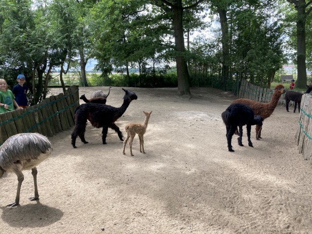 Die Schunterfunken im Tierpark Essehof, Foto: Freiwillige Feuerwehr Heiligendorf